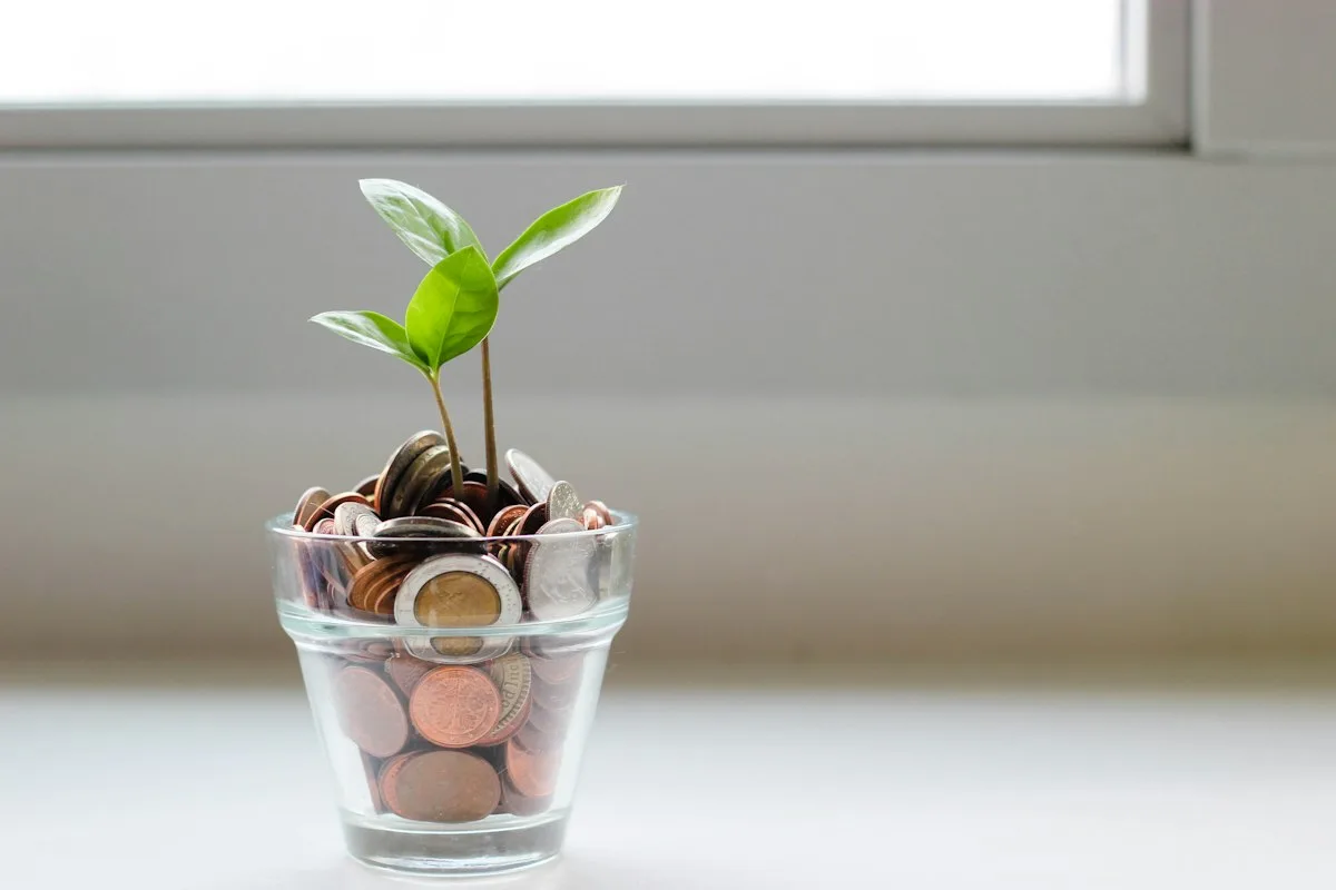Classic white ceramic piggy bank resting on sunny wooden windowsill with green plant