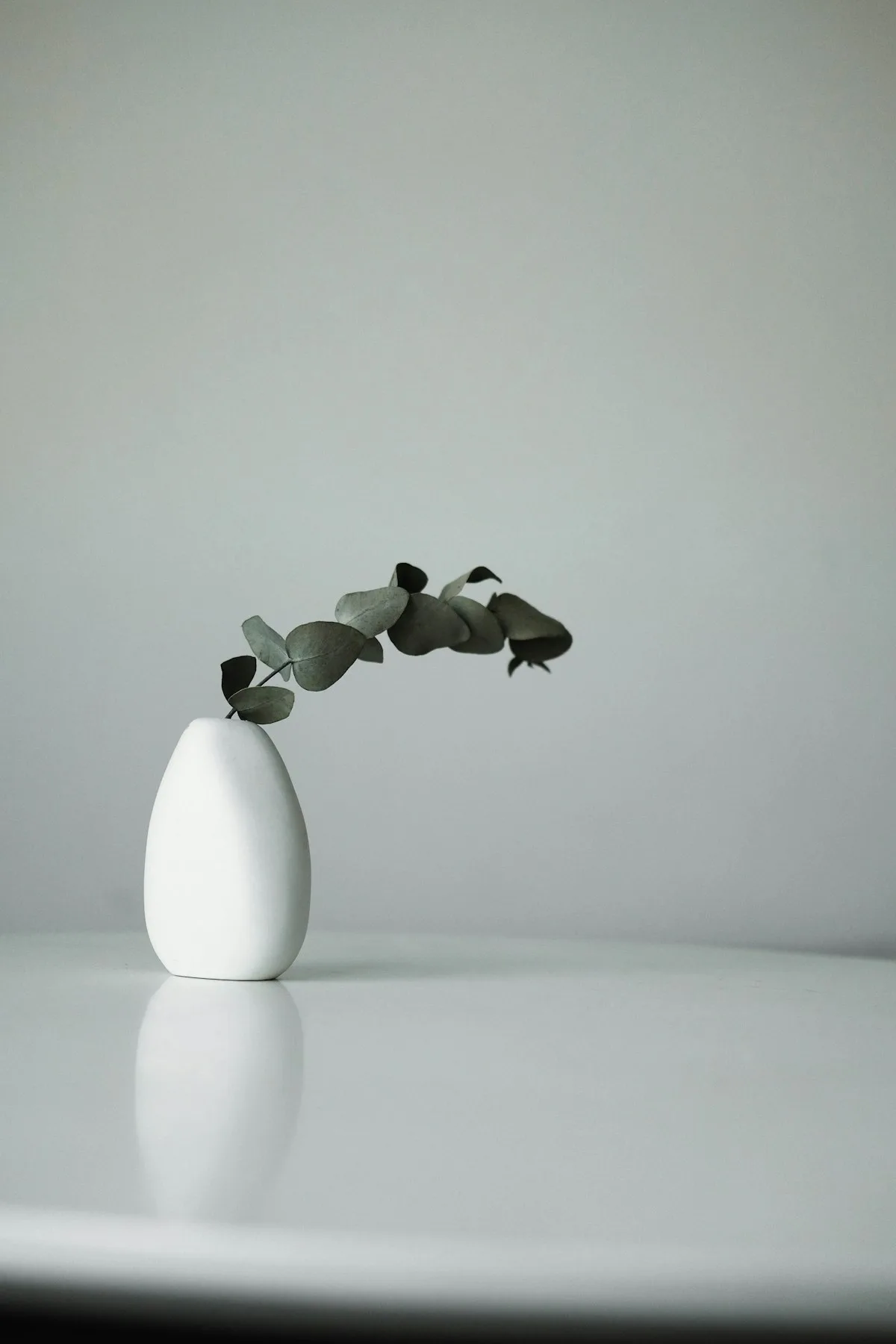 Textured white ceramic fluted flower vase holding dried floral stems on rustic wooden shelf