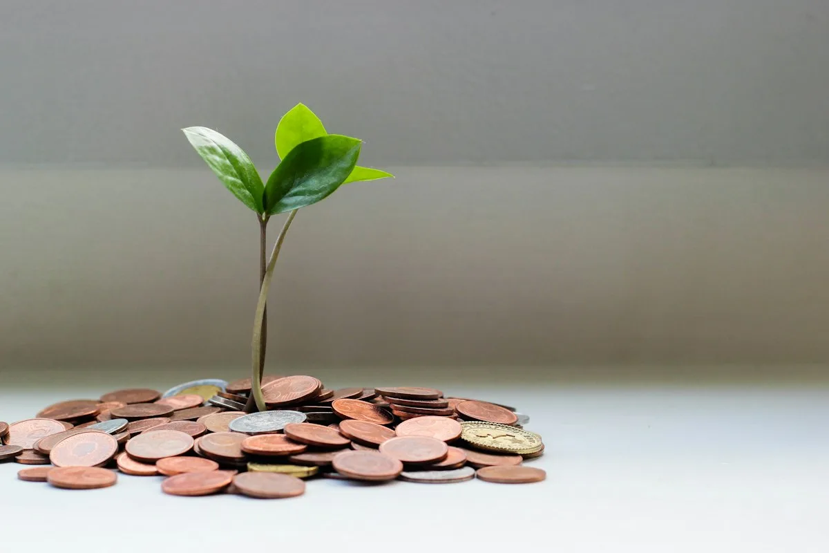 Clear glass jar with green seedling growing out of coins representing savings wealth